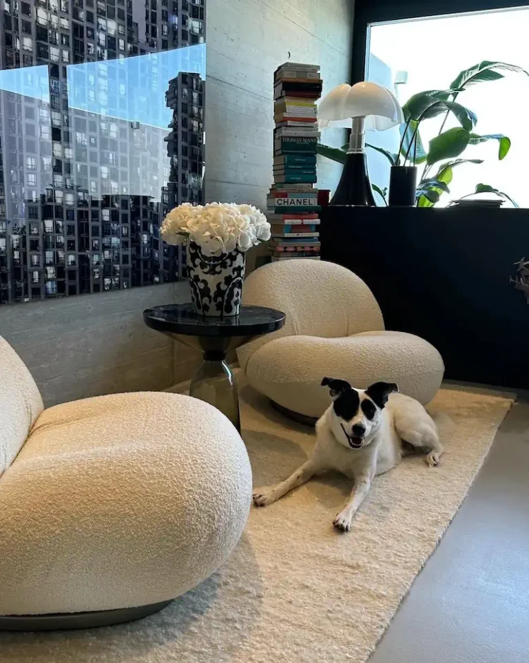 Chevere Rug Collection